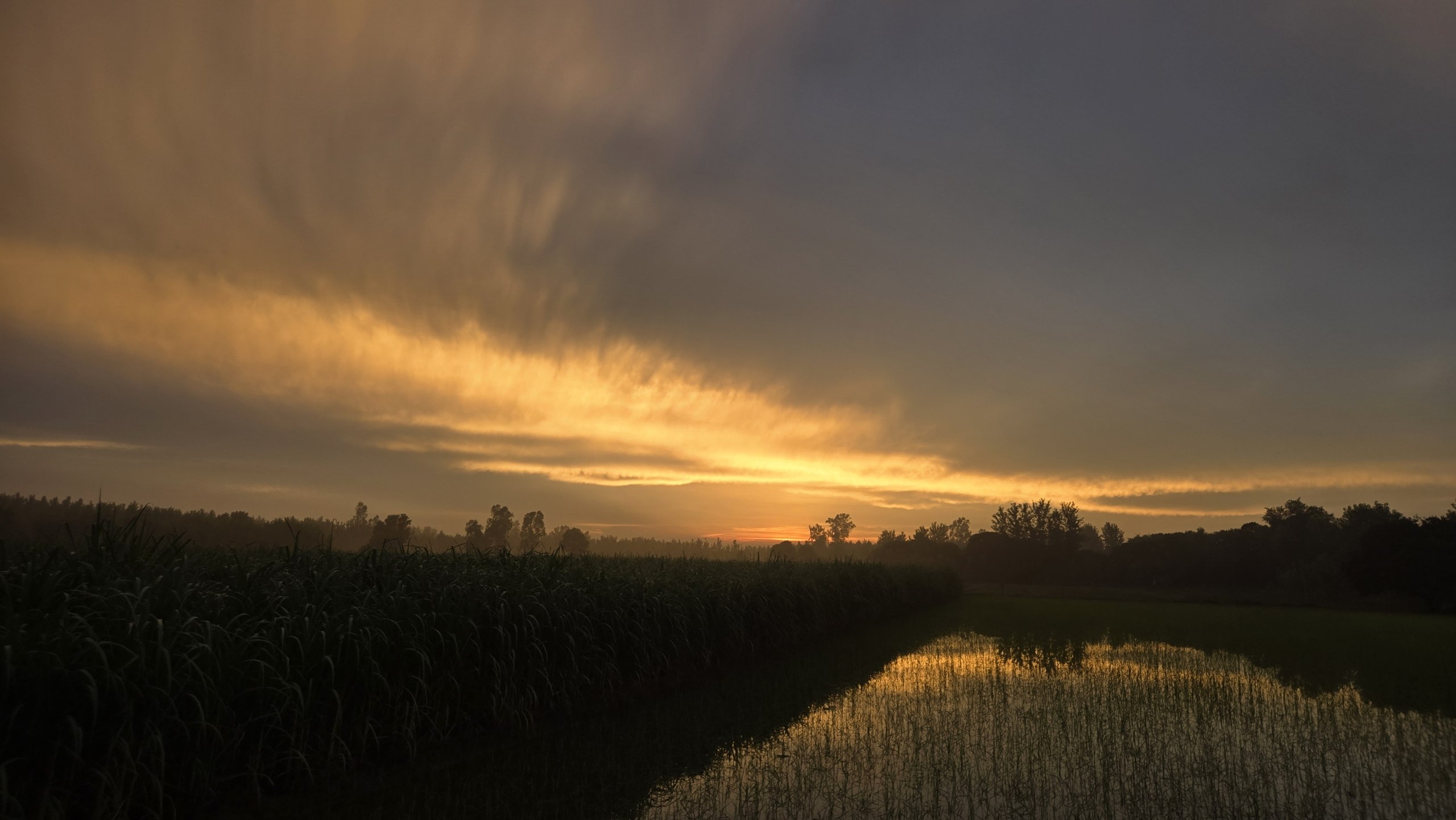 Sunrise over a natural landscape